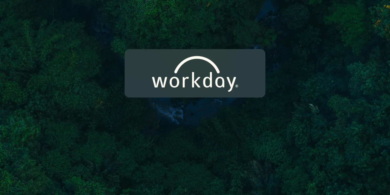 workday-21-min-6622261335d8a