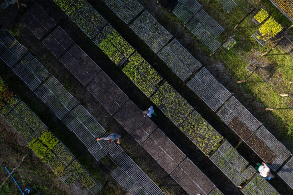 29062023-DJI_0466-1-scaled