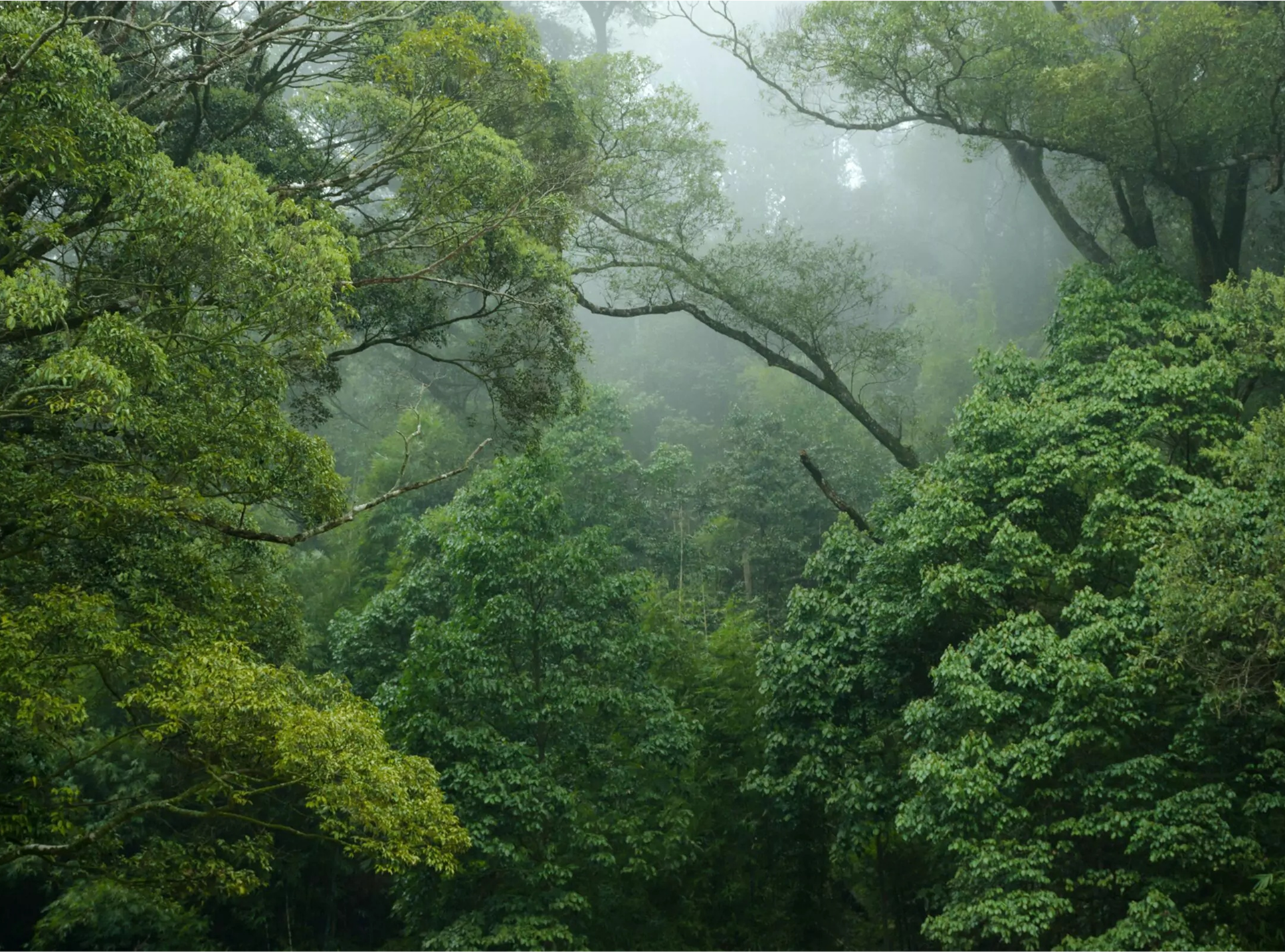Apr 11 image2