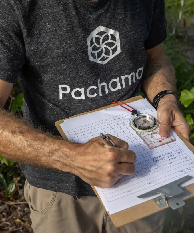 Pachama_01