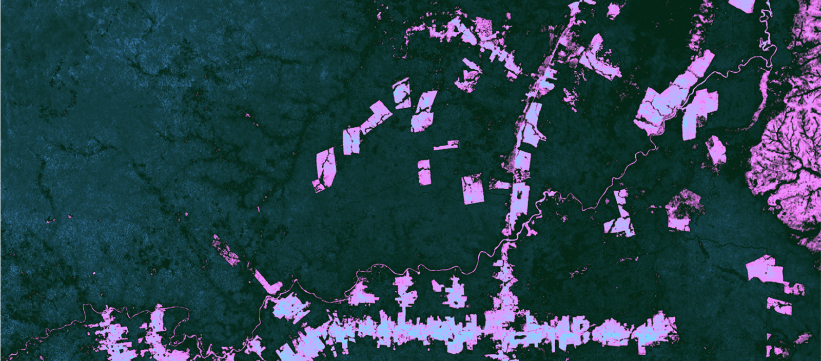 Screenshot-2025-02-26-at-11.17.24